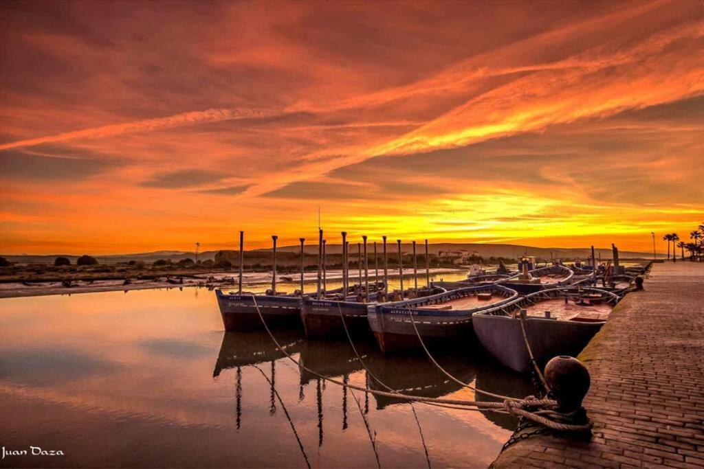 Arria Velas Barbate Luaran gambar